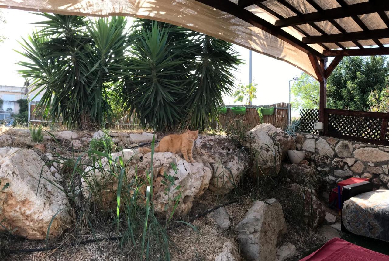 Panorama Kinneret נוף כנרת, צפת Extérieur photo